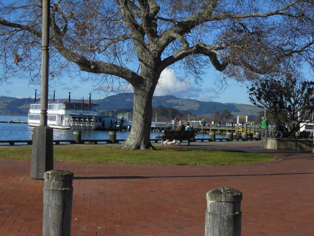 Lakeside City Apartments - Penthouse And Studio Rotorua Luaran gambar